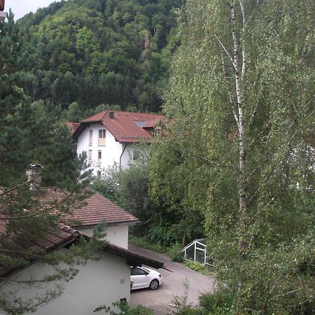 Appartemant Steineberg Apartment Immenstadt im Allgäu Exterior foto